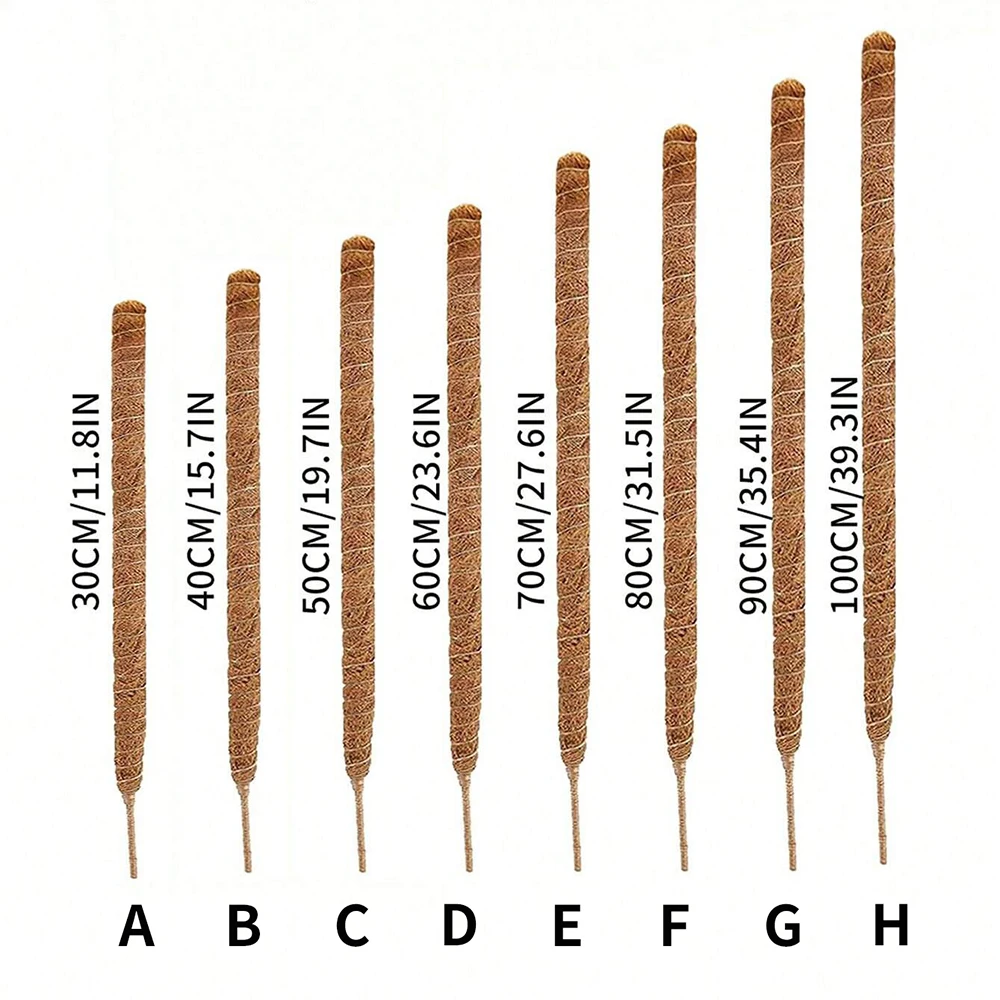 เสาไม้สนับสนุนต้นมอนสเตอร่า สำ - Plant Support Stake บทวิจารณ์และราคา