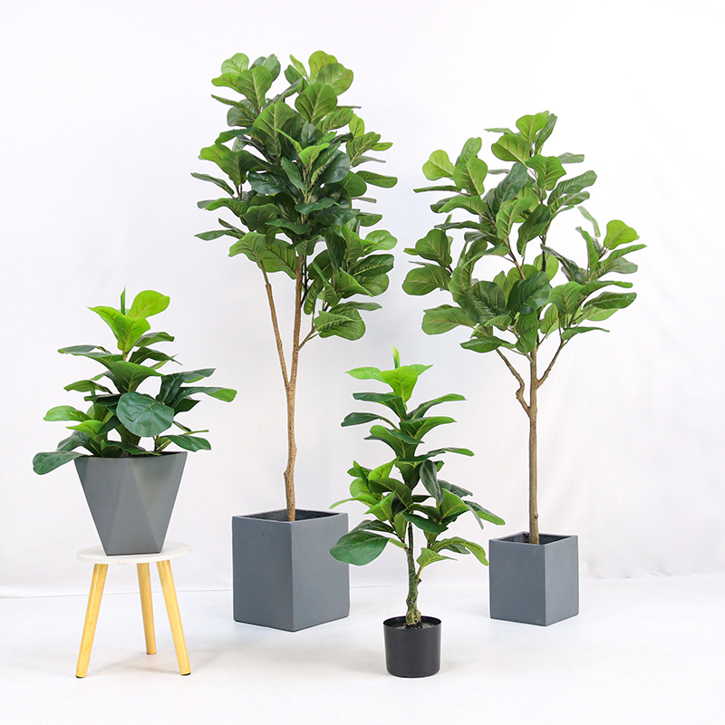 ต้นไม้ประดิษฐ์ในกระถางพลาสติก  - Fiddle Leaf Fig บทวิจารณ์และราคา