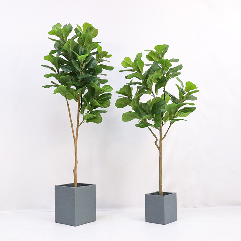 ต้นไม้ประดิษฐ์ในกระถางพลาสติก  - Fiddle Leaf Fig บทวิจารณ์และราคา