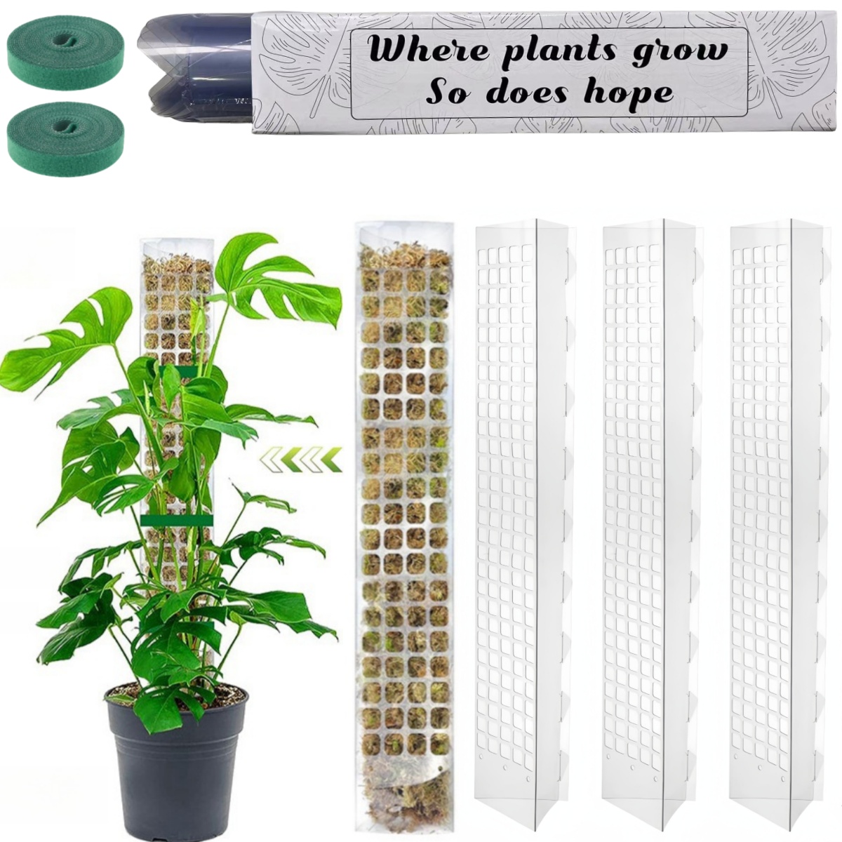 MOSS POLE พลาสติกยืนในร่มพืชปี - Plant Support Stake บทวิจารณ์และราคา