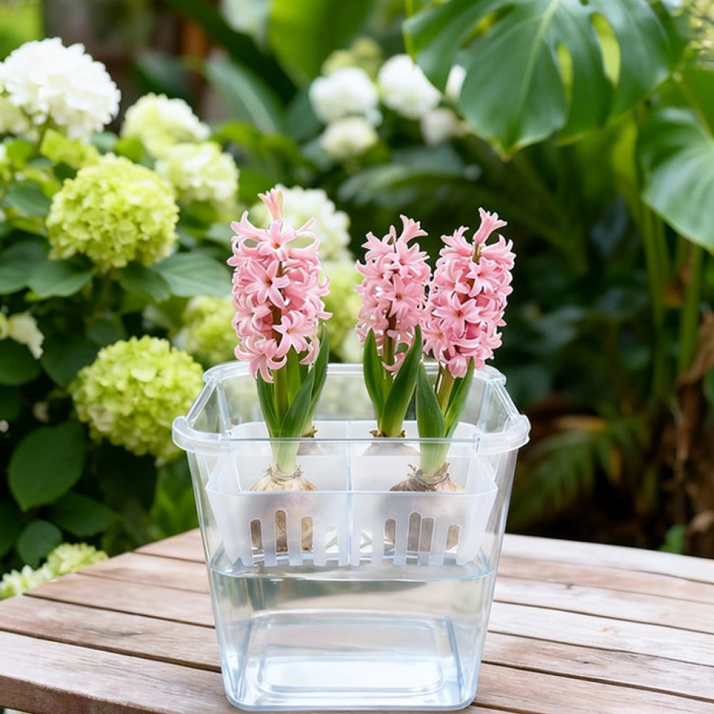 กระถางไฮโดรโปนิกส์สำหรับปลูกทิ - Indoor Plants บทวิจารณ์และราคา