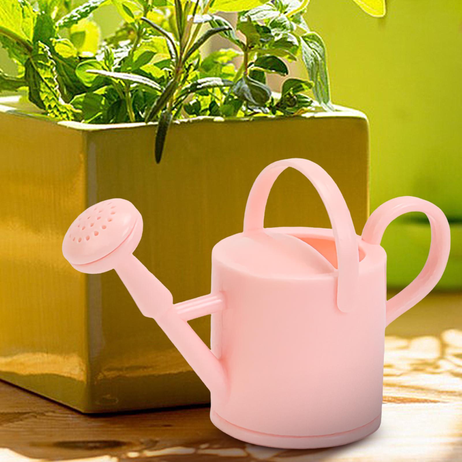 บัวรดน้ำเด็กเล็ก บัวรดน้ำดอกไม - Succulent Set บทวิจารณ์และราคา
