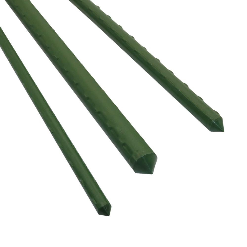 เส้นผ่าศูนย์กลาง8/11/16มิลลิเม - Plant Support Stake บทวิจารณ์และราคา